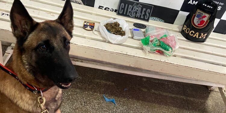 Base Arpão 1: PMAM apreende drogas enterradas em terreno baldio em Jutaí