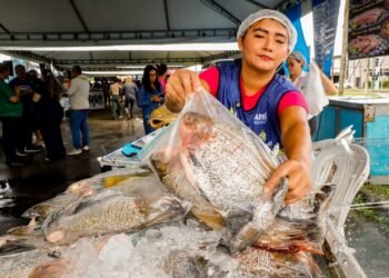 Semana Santa: Governo do Amazonas dá início ao Feirão do Pescado em dois pontos estratégicos de Manaus