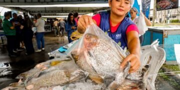 Semana Santa: Governo do Amazonas dá início ao Feirão do Pescado em dois pontos estratégicos de Manaus