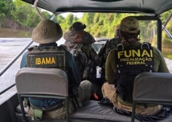 Operação Wahanararai do Ibama apreende pescado ilegal, armas e madeira no Vale do Javari (AM)