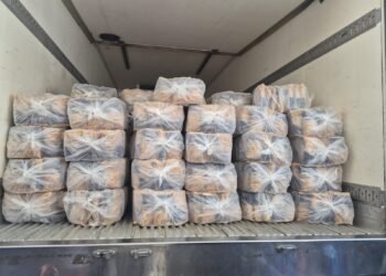 Preme 2026: ADS distribui mais de 258 toneladas de alimentos para a merenda da rede estadual nesta semana