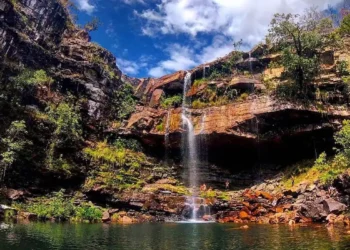 Criança de 8 anos é atacada por onça na Chapada dos Veadeiros