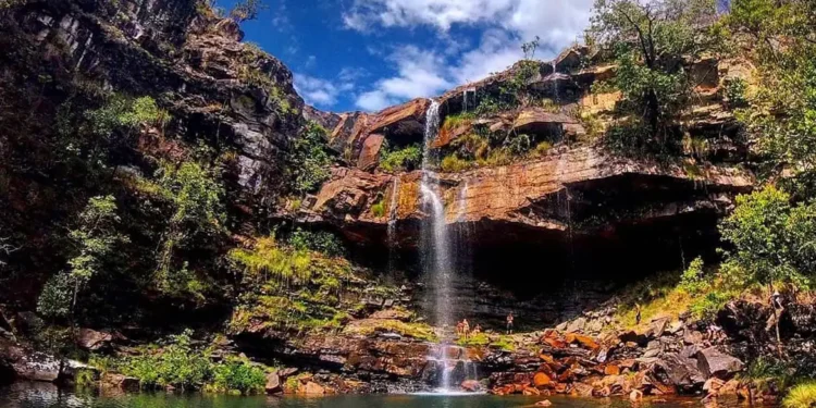 Criança de 8 anos é atacada por onça na Chapada dos Veadeiros