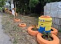 Prefeitura de Manaus elimina lixeira viciada na zona Norte e transforma área em novo jardim urbano