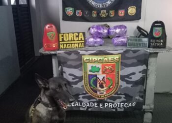 Base Arpão II: cão policial apreende mais de três quilos de pasta-base em embarcação