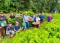 Investimentos impulsionam setor primário e transformam realidade do trabalhador rural no Amazonas