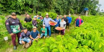 Investimentos impulsionam setor primário e transformam realidade do trabalhador rural no Amazonas