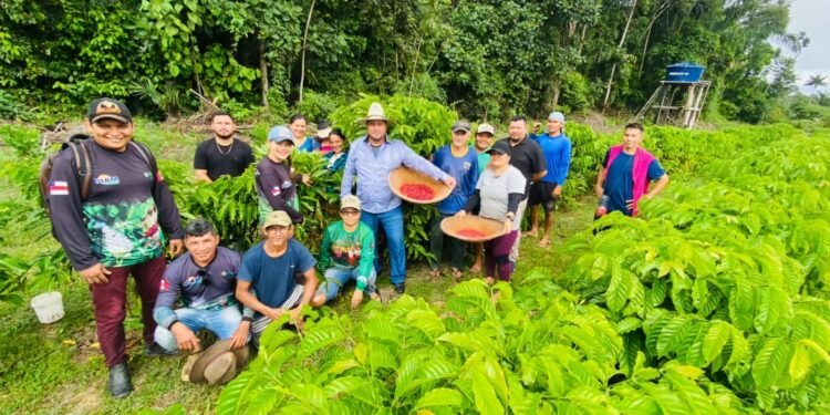 Investimentos impulsionam setor primário e transformam realidade do trabalhador rural no Amazonas