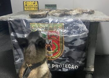 Base Arpão 2: Forças de Segurança prendem mulher com drogas escondidas em máquina de solda de embarcação