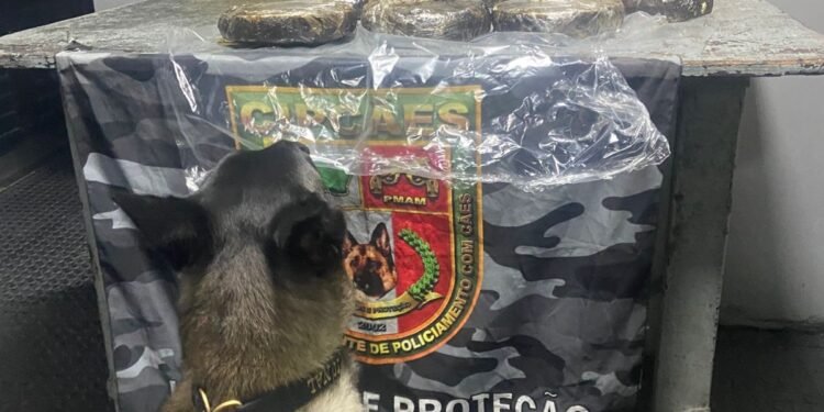 Base Arpão 2: Forças de Segurança prendem mulher com drogas escondidas em máquina de solda de embarcação