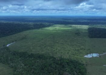 Operação Tamoiotatá 6 conclui a quarta etapa com mais de R$ 57 milhões em multas