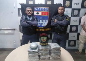Polícia Militar do Amazonas prende homem com 15 tabletes de skunk em lancha que chegava ao Porto de Manaus