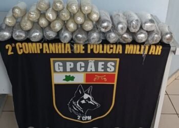 Operação Segurança Presente: Forças de Segurança apreendem mais de 35 quilos de drogas, armas de fogo e prendem seis pessoas no interior