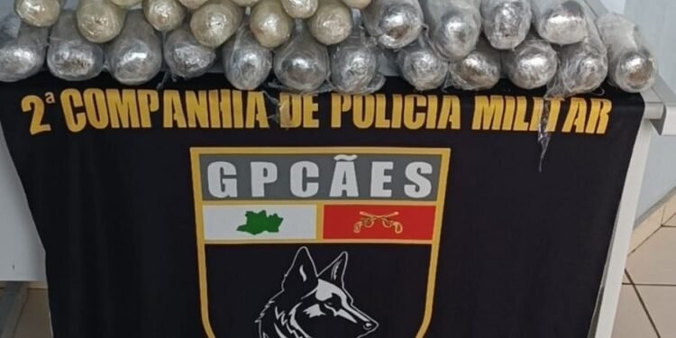 Operação Segurança Presente: Forças de Segurança apreendem mais de 35 quilos de drogas, armas de fogo e prendem seis pessoas no interior