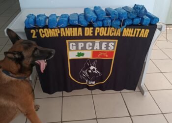Operação Segurança Presente: Forças de Segurança apreendem mais de 11 quilos de entorpecentes em Tonantins