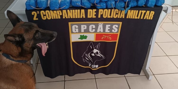 Operação Segurança Presente: Forças de Segurança apreendem mais de 11 quilos de entorpecentes em Tonantins