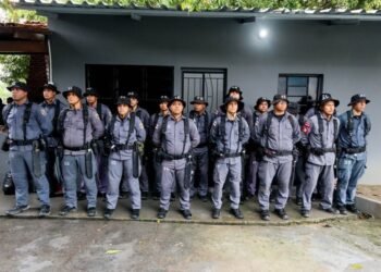 PMAM capacita efetivo para atuação em operações com cães farejadores, de patrulhamento e detecção de narcóticos