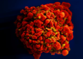 Dois novos casos de possível cura do HIV são anunciados; total chega a 13 no mundo
