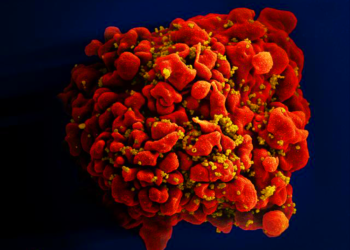 Dois novos casos de possível cura do HIV são anunciados; total chega a 13 no mundo