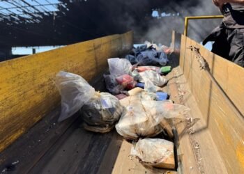 Polícia destrói mais de 3,5 toneladas de drogas em Manaus