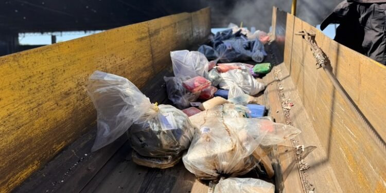 Polícia destrói mais de 3,5 toneladas de drogas em Manaus