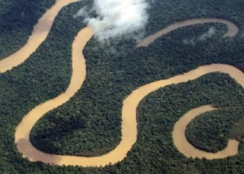 Amazonas reduz até 93% das queimadas e aposta em prevenção para enfrentar crise climática