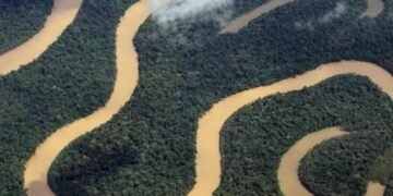 Amazonas reduz até 93% das queimadas e aposta em prevenção para enfrentar crise climática