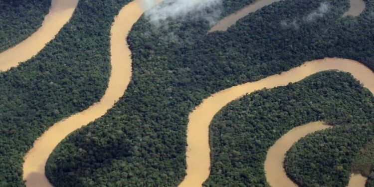 Amazonas reduz até 93% das queimadas e aposta em prevenção para enfrentar crise climática
