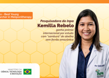 Pesquisadora do Inpa ganha prêmio internacional por estudo com “samburá” de abelha amazônica sem ferrão