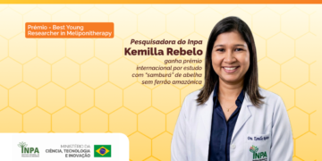Pesquisadora do Inpa ganha prêmio internacional por estudo com “samburá” de abelha amazônica sem ferrão