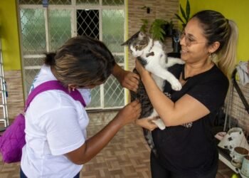 Prefeitura de Manaus divulga resultado preliminar de Processo Seletivo Simplificado para campanha antirrábica animal de 2026