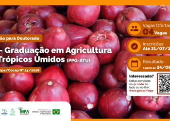 Programa de Doutorado em Agricultura no Trópico Úmido: Inpa abre 4 vagas em Manaus