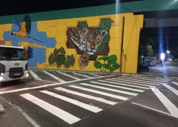 Prefeitura de Manaus renova sinalização em avenidas e ruas de Manaus para ampliar segurança viária