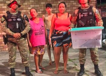 Guarda Municipal realiza resgate de ave silvestre e combate a foco de incêndio nas zonas Sul e Leste de Manaus