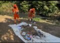 Prefeitura realiza mutirão de limpeza em homenagem aos 52 anos da Redenção