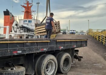 PF apreende mais de 88 kg de drogas em Tabatinga AM