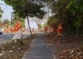 Mais de 400 trabalhadores realizam mutirão de limpeza no Santa Etelvina