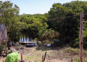 Dia da Amazônia: Maior bioma do mundo está no centro das mudanças climáticas e enfrenta uma das piores ondas de calor das últimas décadas
