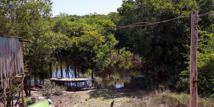 Dia da Amazônia: Maior bioma do mundo está no centro das mudanças climáticas e enfrenta uma das piores ondas de calor das últimas décadas