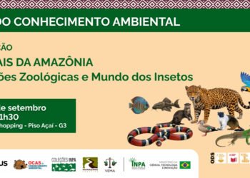 Animais da Amazônia – Coleções Zoológicas e Mundo dos Insetos estará no Manauara Shopping até o dia 25 de setembro