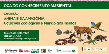 Animais da Amazônia – Coleções Zoológicas e Mundo dos Insetos estará no Manauara Shopping até o dia 25 de setembro