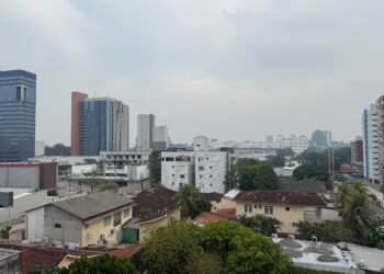 Fumaça em Manaus acende alerta para a saúde respiratória; veja como se proteger