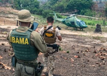 Ibama, Ipaam, Polícia Militar e Corpo de Bombeiros intensificarão ações contra incêndios florestais criminosos no Amazonas.