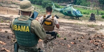 Ibama, Ipaam, Polícia Militar e Corpo de Bombeiros intensificarão ações contra incêndios florestais criminosos no Amazonas.