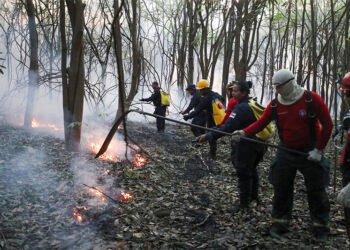 Queimadas em Iranduba mobilizam equipes do Corpo de Bombeiros neste sábado