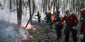 Queimadas em Iranduba mobilizam equipes do Corpo de Bombeiros neste sábado
