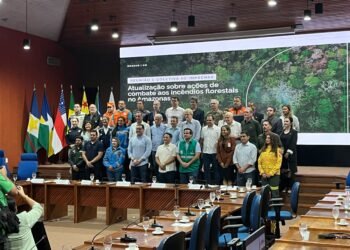 Queimadas no AM: Governo envia 16 aviões, tropas e Força do SUS para conter incêndios
