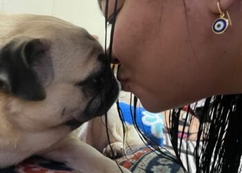 O amor que cura: como os cães revolucionam a saúde mental e transformam vidas