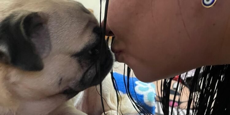 O amor que cura: como os cães revolucionam a saúde mental e transformam vidas