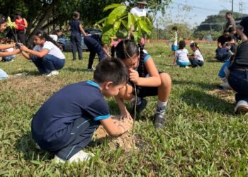 Crianças participam de ação ambiental com plantio de árvores no Smart Gran Park